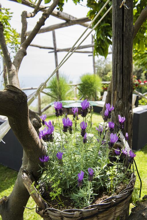 Villa Gianlica Băile Herculane Dış mekan fotoğraf